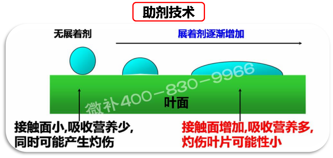 余教授德國(guó)鄉(xiāng)村行：我在德國(guó)為什么不會(huì)點(diǎn)啤酒了？