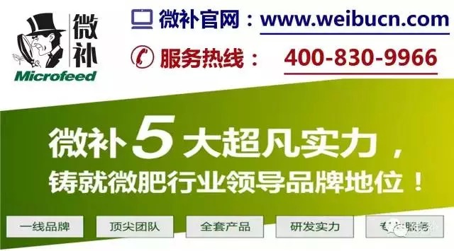 余教授奧地利鄉(xiāng)村行：萬科為什么說把奧地利小鎮(zhèn)搬回來？