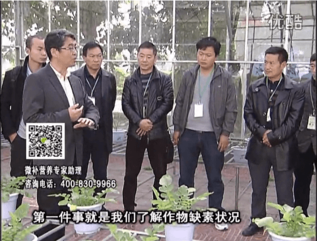 20160418珠江臺搖錢樹：和重慶種植業(yè)主走進微補，探秘微補生產(chǎn)研發(fā)技術(shù)