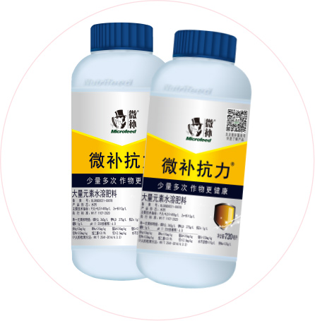 如何做好冬季清園，減少來年病蟲害影響