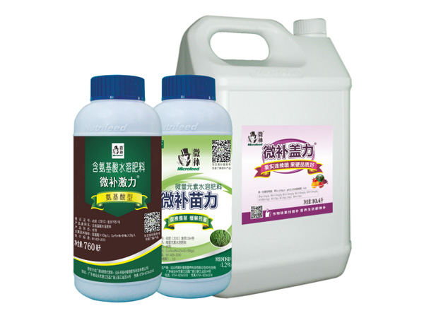 讓作物安全過(guò)冬的實(shí)用小妙招，速看