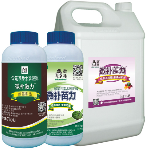 讓作物安全過冬的實用小妙招，速看