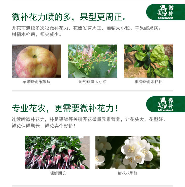微補(bǔ)花力