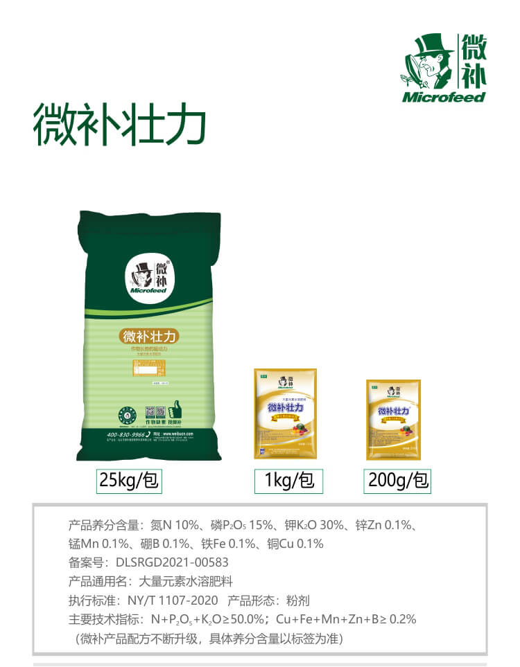 微補(bǔ)壯力