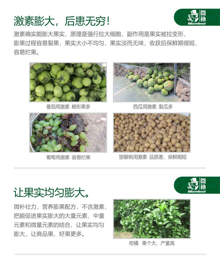 微補(bǔ)壯力