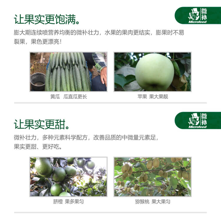 微補(bǔ)壯力