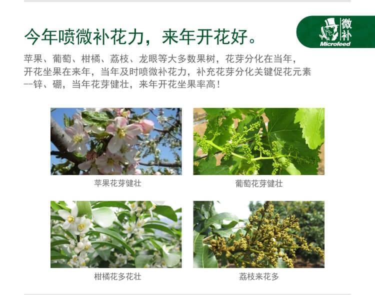 微補(bǔ)花力