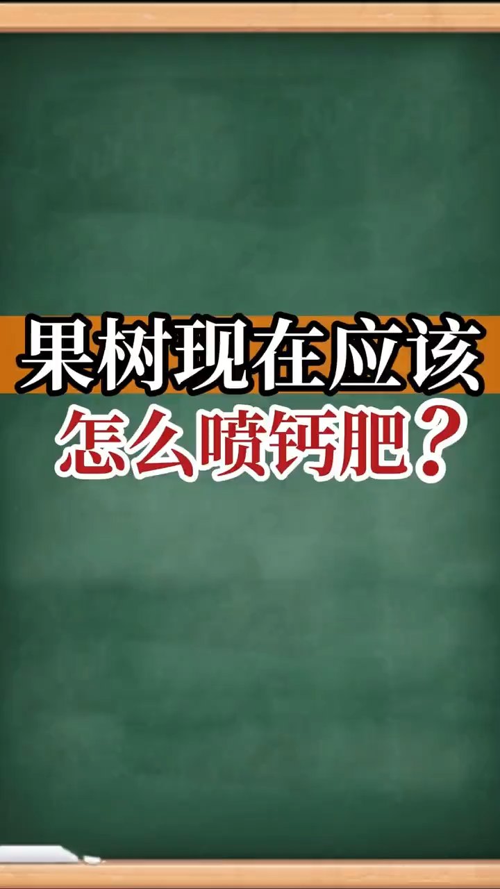 果樹現(xiàn)在應該怎么噴鈣肥？